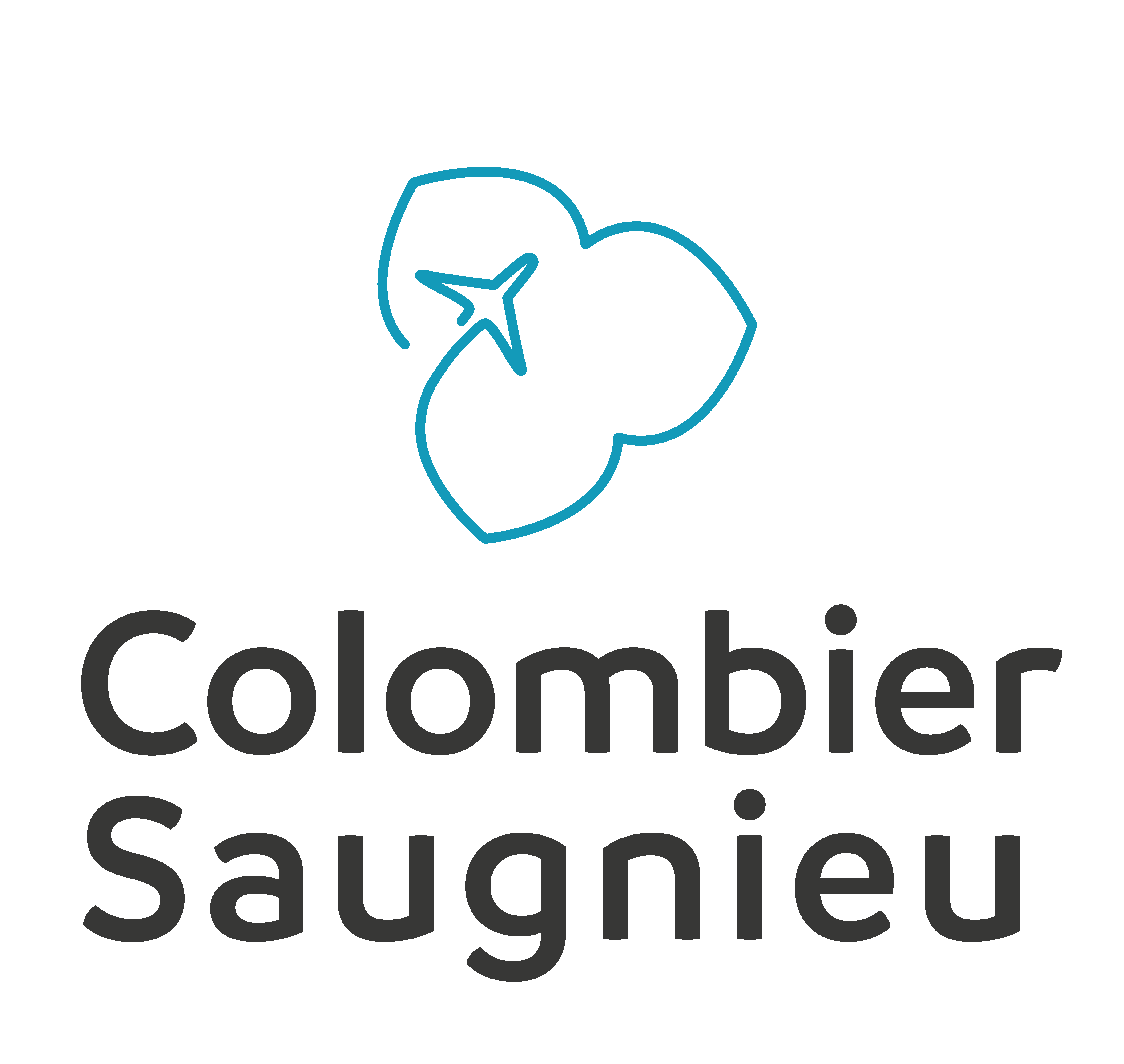Logo colombier saugnieu